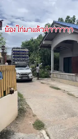 #ไก่ไข่ #ไก่ไข่โคราช รถแห่งความฝัน 