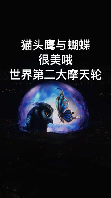 暴走拉斯维加斯（4）世界第二大摩天轮 1️⃣购票：大众、携程都可以，两大一小499 2️⃣一圈用时：30分钟 3️⃣看点：夜景、球 4️⃣地点：拉斯维加斯大道火烈鸟酒店旁 建议：傍晚或天黑去，算好时间摩天轮落地后，走出来百丽宫酒店门口看音乐喷泉#拉斯维加斯 #lasvegas #拉斯维加斯大道 #lasvegasstrip #sphere 