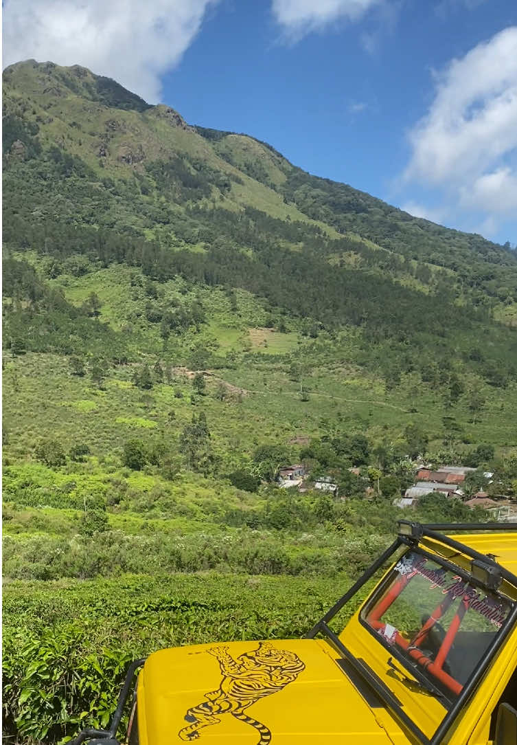 Petualangan yang disajikan alam: udara dingin, hijaunya kebun teh, dan langit biru yang menaungi. Sebuah jeda yang sempurna di kaki Ungaran. 📍Promasan Medini Jadwalkan healing versi kalian, Yuk, booking trip jeep bareng GJA sekarang! #gonoharjojeepadventure #trip #jeepadventure  #explorekendal #foryoupage