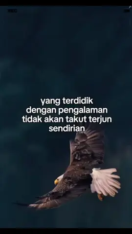 #CapCut 