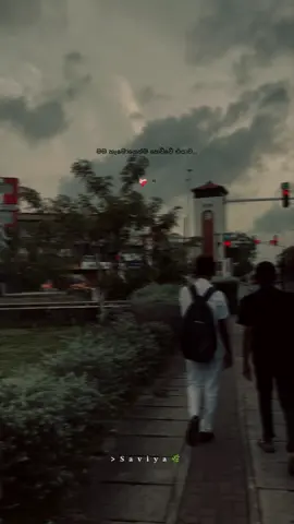 ❤️‍🩹  ! ?. #fypシ゚viral🖤tiktok #inshot #fypシ゚ #srilankan_tik_tok🇱🇰 