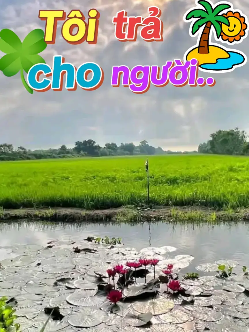 #nhachaymoingay❤️ #fpy #xhtiktok2025_fl_tym💕 @tranthimongthuy 