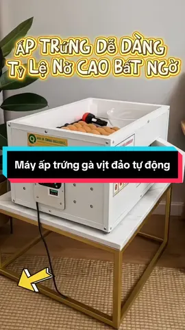 Máy ấp trứng gà, vịt tự động 35 trứng thùng alu viền nhôm #mayaptrung  #LearnOnTikTok  #fyp  #tiktok 