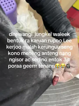 #fyp #viral #dpr #foryou #rakyatindonesia #🥀🖤 