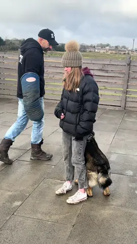 Family Protection dog supplied and trained #protectiondog #protectiondogs #dogtrainer #dogtrainer #protectionk9scotland 