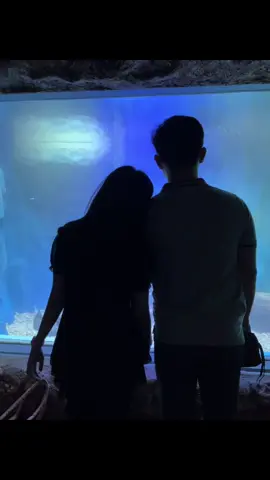 forever❤️#fotolive #xyzbca #pasangan #seaworld 