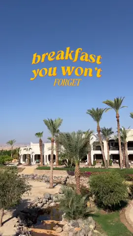 Wake up slow, eat well, feel great 💛☀️ #SharmPlazaResort #SharmElSheikh #RedSeaHotels #Egypt #RedSea #Travel
