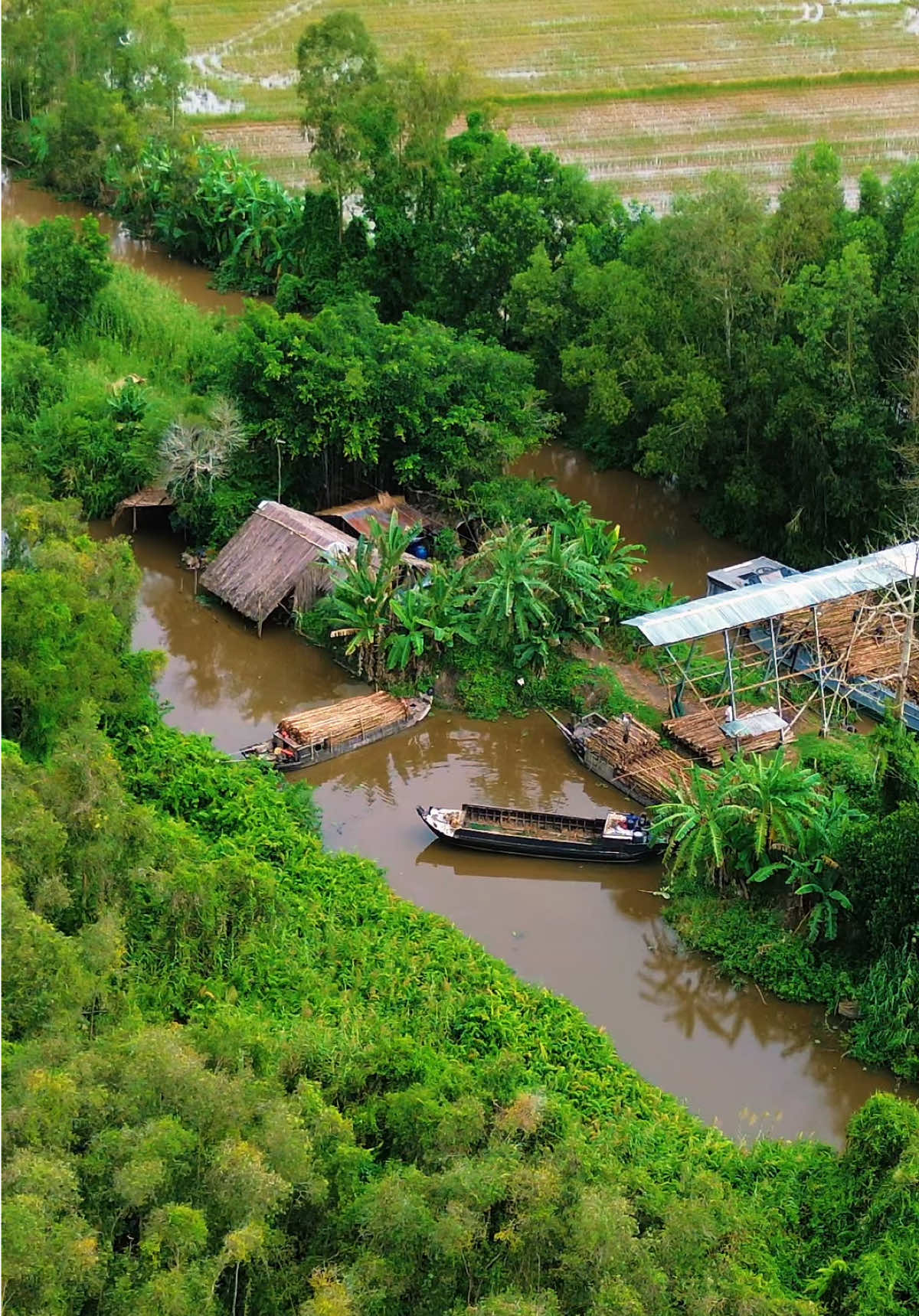 Cánh chim tung trời về Đất Phương Nam người xưa lưu dấu... Bài Ca Đất Phương Nam NSND Thanh Điền, Phong cảnh đẹp quê hương, Cảnh đẹp miền tây, Phong cảnh Việt Nam #mientay #huynhphutien #fyp #datphuongnam 