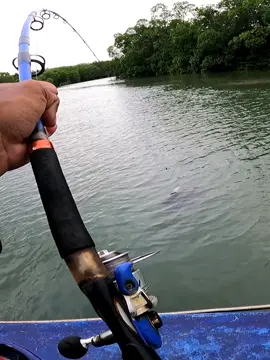 #mancing #ikan #jumbo