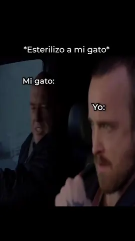#aaronpaul #jessepinkman 