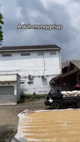 Kela euy can garing😭  #foryou #fouryoupage #buruhtani #beras #gabah #padi 