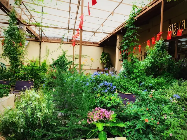 Khu vườn mùa hè trở lại hoa đang rất đẹp mời các Đồng Chill ghé tham quan checkin Tại Phê La Ung Văn Khiêm nhé #phelaungvankhiem #phelagarden #garden #vuonchill 