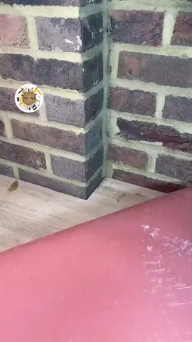 #PakistaniDrama  #ONLYKINGSHOAIB  #DramaZone  #OfficialChannel  #PakistaniTikTok  #ForYou  #ViralVideo  #TikTokPakistanOfficial  #Only_King_Shoaib00  #ExposePoint #Team7Bro  #FYP #RelatableContent  #DramaticStory  #EmotionalScene  #ViralPakistaniDrama  #GrowTogether  #exposepoint  #team7bro  #foryoupage #foryou  #account #grow  #video #Viral