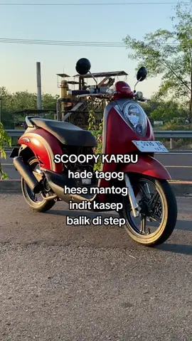 bokong semog #scoopy #scoopykarbu #scoopymodifikasi #kvygank 