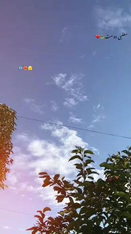 دوست کیا خوب وفاؤں کا صلہ دیتے ہیں🌘🦋🌸#Urdu_shiyeri #sadmoment #fypシ゚viral🖤tiktok☆♡ #growmyaccount #foryoupage❤️❤️ #tiktokviral ##tiktokforyou 