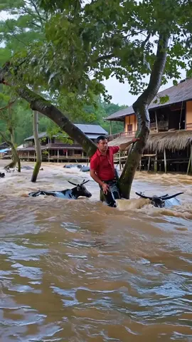 Arus Deras Hampir Membawa Segalanya Pergi #waspadabencana #banjir #fyp 