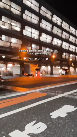 ජපානේ ඉන්න කොල්ලො කෙල්ලන්ට ගේමක් ගහන්න උදව් කරපු තවත් තැනක් 🇯🇵🐈‍⬛❤️#foryoupage#fyp#viral#ヤマト#スリランカ🇱🇰日本🇯🇵