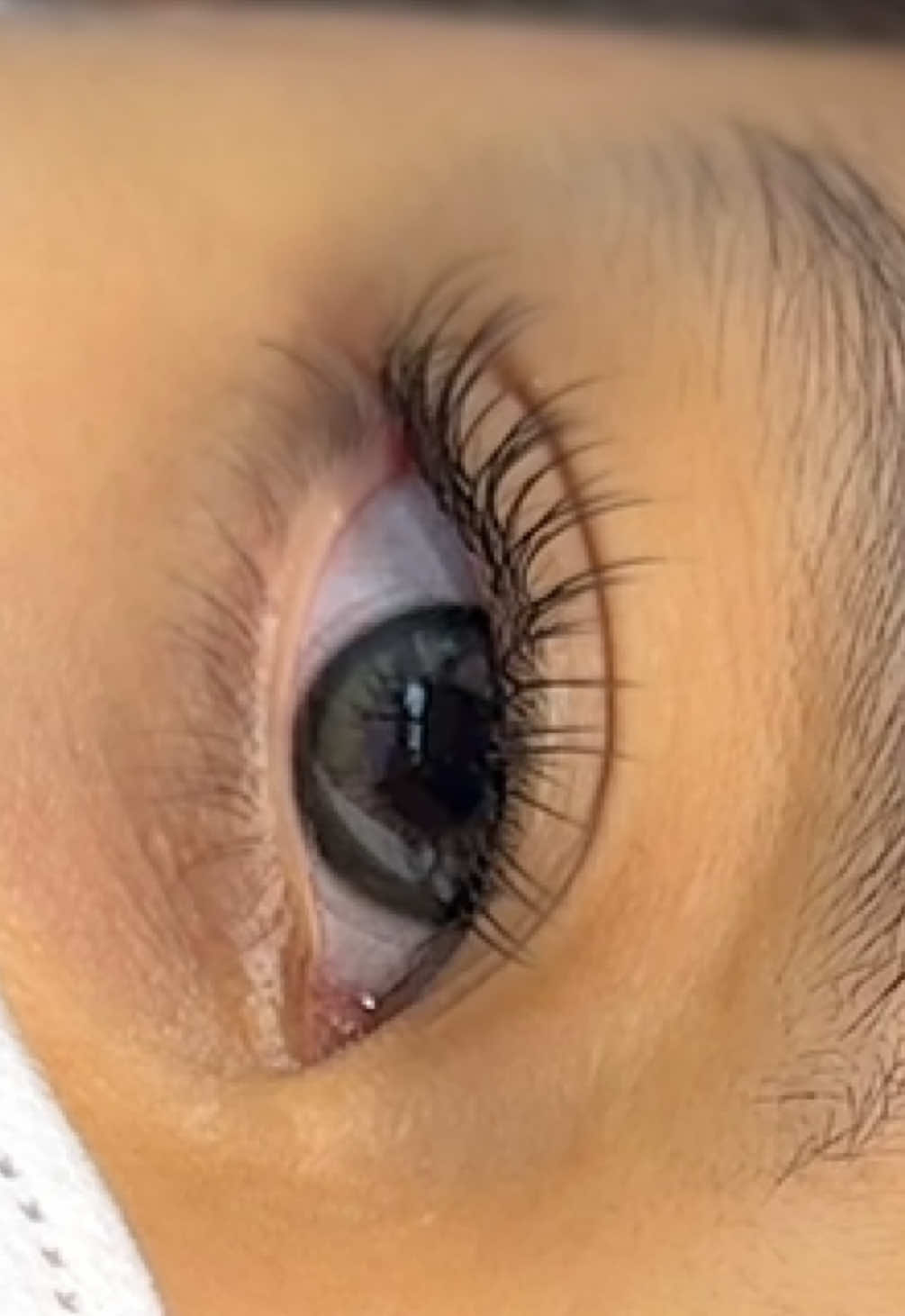 #eyelashnaturaljogja #eyelashjogjamurah #eyelashantinusuk #eyelashjogja #eyelashextensions 