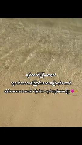 မချစ်ရင် မချစ်ပူး ချစ်မိရင်လဲ အရူးအမူးပဲ 😭🫶 #foryou #tiktok #fyp #😻😻😻 