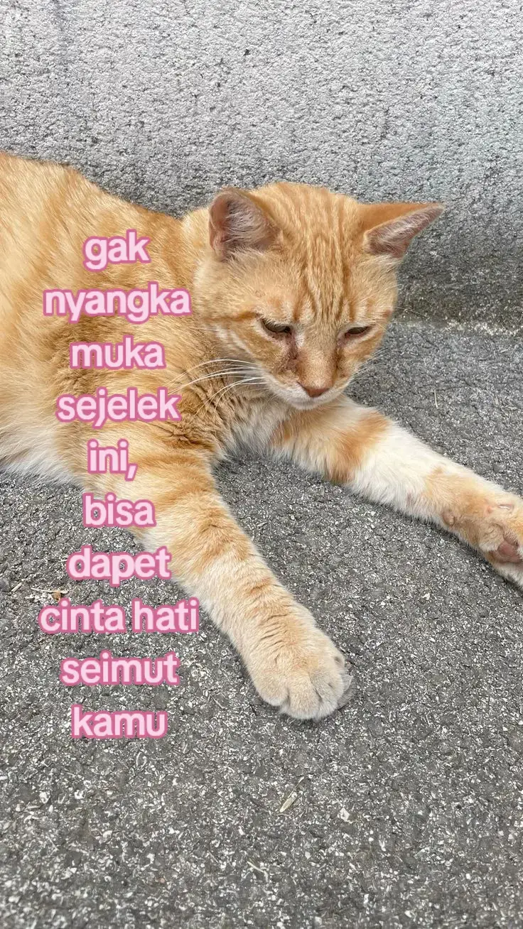 #xyzbca #4u #foryou #fypge 