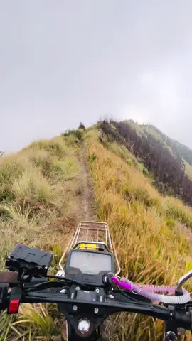 Pov traking jalur leluhur #pov #traking #jalur #win100 