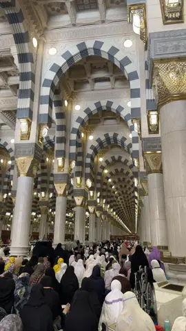 Prepare for Dzuhur in Madinah ( Juli’25 ) #frizkaalam #madinah #madinahalmunawaroh #medina #nabawi 