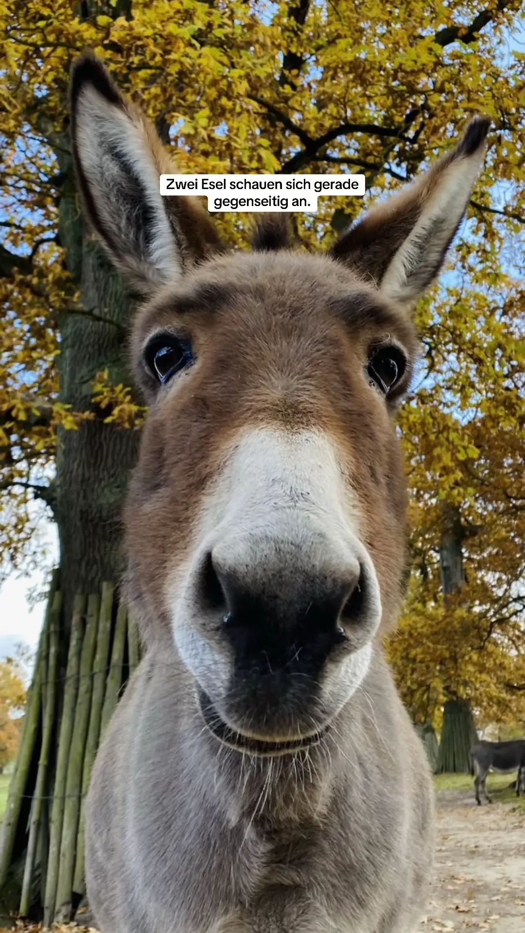 #fyp #tik_tok #stuttgart 