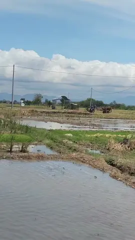 ses😅#teammadangmaidobayaran #teamngiwomadang #fyppppppppppppppppppppppp 