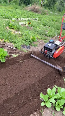 yg mau buat bisa dm 🚜🚜#fyppppppppppppppppppppppp #petaniindonesia🇮🇩🇮🇩🇮🇩🌿🌿 #petanimuda #masukberanda 