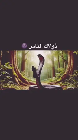 #ترند #مالي_خلق_احط_هاشتاقات 
