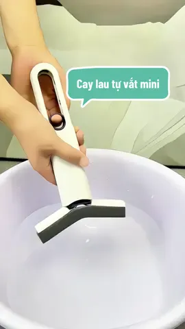 Cây lau mini tự vắt đa năng #caylau#caylaumini#caylautuvat  #caylaubanbep#ngocxinh6262