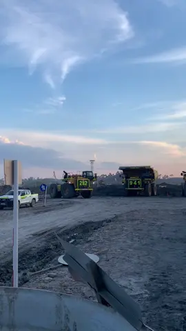 Kaya keong #fypシ゚ #kulitambang #kulitambangbatubara 