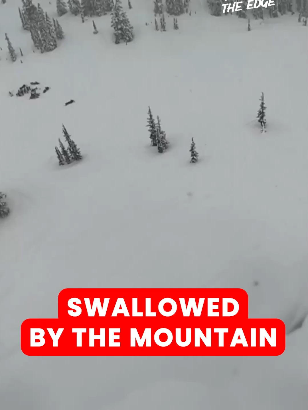 When you said “hit the slopes”… not literally 😂 #lifeontheedge #fails #FunnyMoments