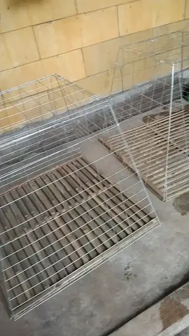 mantap bosku#umbaran #kurungcantik #kandangayam #kandanggalvanis #kurunglipat #jemur #ayambangkok #kandangumbaran 