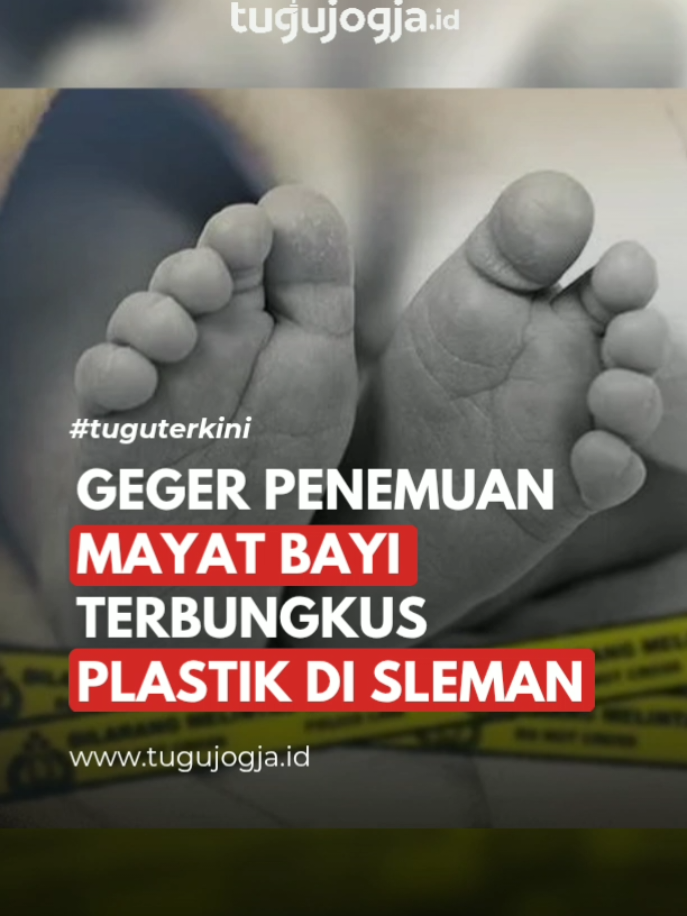 Geger di Sleman! Warga Sambilegi Kidul, Depok, menemukan mayat bayi laki-laki terbungkus plastik putih dalam ember hitam, Kamis (28/8). Bayi dengan panjang 47,5 cm itu diperkirakan meninggal sekitar enam jam sebelum ditemukan. Jenazah dibawa ke RS Bhayangkara Polda DIY, sementara polisi masih menyelidiki siapa yang tega membuang bayi malang tersebut. #TuguJogja #BeritaSleman #JogjaUpdate #BeritaJogja #KabarJogja 