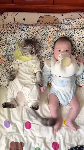 #foryou#cutebaby #cat #babylove 