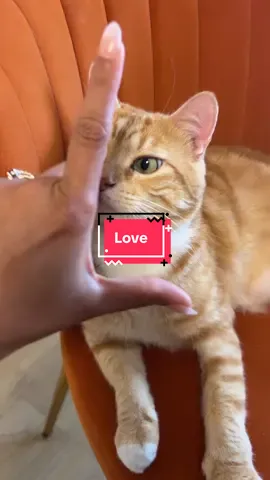Adorable 🤣❤️