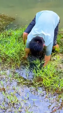Còi ba ba #videobatca #trendingvideo #fishing #videoviral #hoangda 