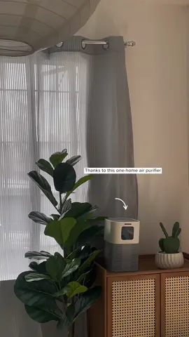 Fresh vibes only at home with @SMART ONE HOME APPLIANCE #airpurifier #onehomeairpurifier 
