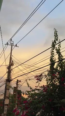 1 chút chill mỗi buổi chiều ở quê🥰#CapCut #hatinh #fyp #TikTokAwardsVN 