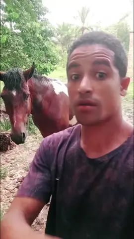 Simpatia da gasolina que acabou com várias pessoas #creatorsearchinsights 