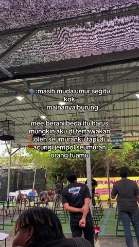 Umur hanyalah angka🔥 #vypシ #kenarimaniaindonesia #kicaumanianusantara #kicaumania 