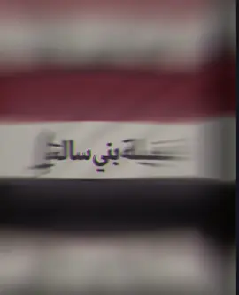 قبيلة بني سالة السيلاوي⚔️☪️#العراق #اللهم_صل_على_محمد_وآل_محمد @قبيلة بني ساله (السيلاوي) #foryou 