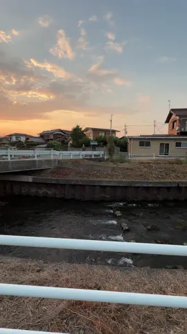 Arigato#sunset #おすすめ #japan #somebodyspleasure #fyppppppppppppppppppppppp 