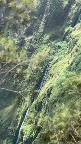 ini yg dicari di kawinajang #kawinajang2651mdpl #gunungkawi #pendakigunung #gunungindonesia #pendaki 