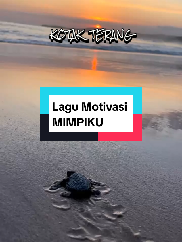 #creatorsearchinsights #laguviral 