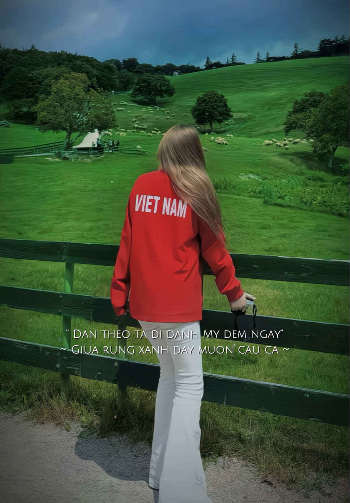#vietnam🇻🇳 