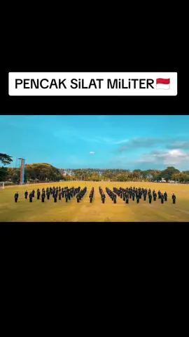 Pencak Silat Militer PSM🇲🇨#tniindonesia🇮🇩 #viral #fyp 