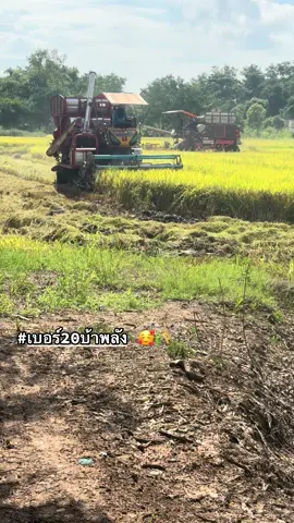 🥰🫶🏻🌾#นครสวรรค์หวานเจี๊ยบ #ของดีชาวนา🌾 #วัยรุ่นทํานา #วัยรุ่นทํานา 