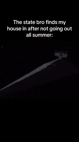 #projectblackwing #starwars #meme #bedrotting #fyp